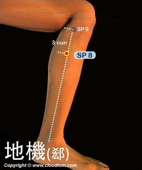 地機穴氣結 木頭顏色名稱